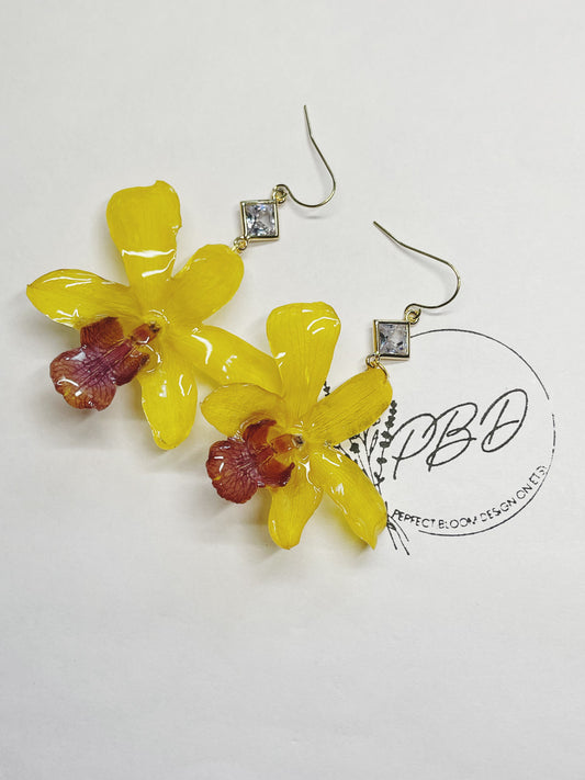 Real Yellow Orchid Earrings